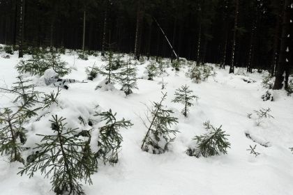 Individual winter camouflage suit