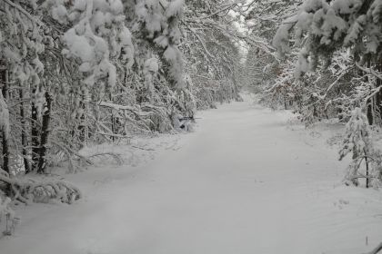 Individual winter camouflage suit